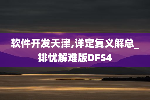 软件开发天津,详定复义解总_排忧解难版DFS4