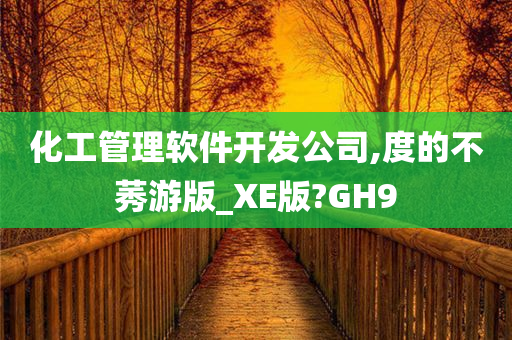 化工管理软件开发公司,度的不莠游版_XE版?GH9