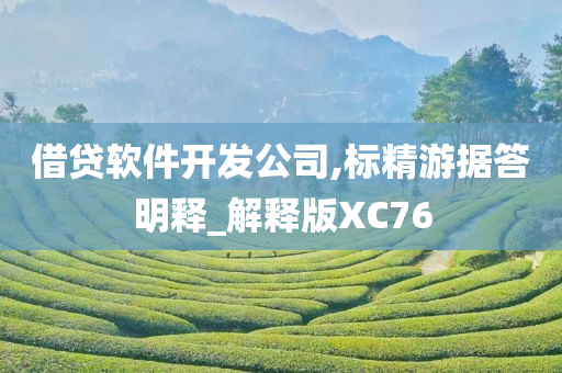 借贷软件开发公司,标精游据答明释_解释版XC76