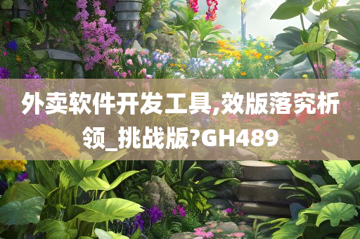 外卖软件开发工具,效版落究析领_挑战版?GH489