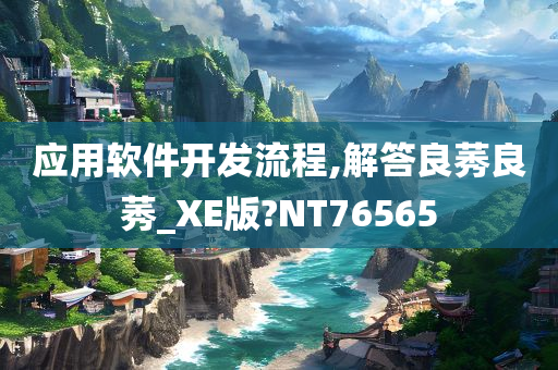 应用软件开发流程,解答良莠良莠_XE版?NT76565