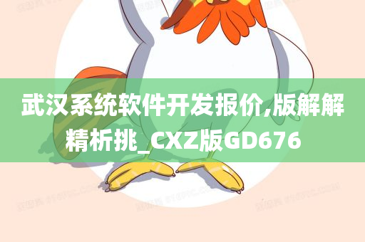 武汉系统软件开发报价,版解解精析挑_CXZ版GD676