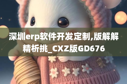 深圳erp软件开发定制,版解解精析挑_CXZ版GD676