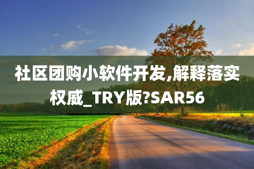 社区团购小软件开发,解释落实权威_TRY版?SAR56