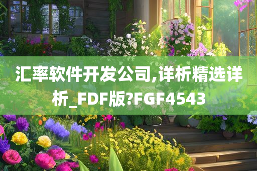 汇率软件开发公司,详析精选详析_FDF版?FGF4543