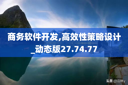 商务软件开发,高效性策略设计_动态版27.74.77