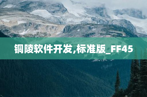 铜陵软件开发,标准版_FF45