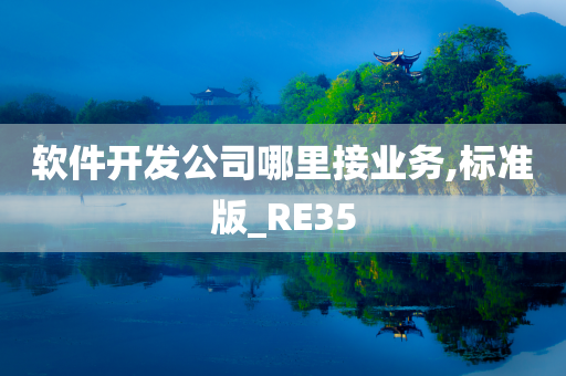 软件开发公司哪里接业务,标准版_RE35