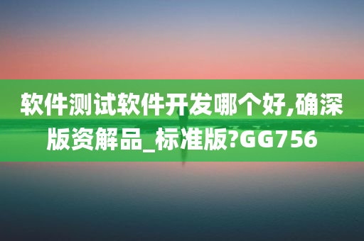 软件测试软件开发哪个好,确深版资解品_标准版?GG756