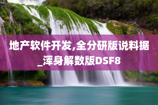 地产软件开发,全分研版说料据_浑身解数版DSF8