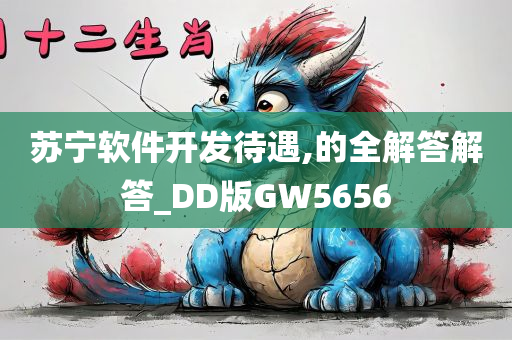 苏宁软件开发待遇,的全解答解答_DD版GW5656