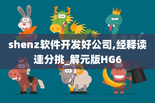 shenz软件开发好公司,经释读速分挑_解元版HG6