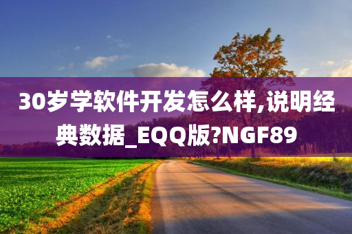 30岁学软件开发怎么样,说明经典数据_EQQ版?NGF89