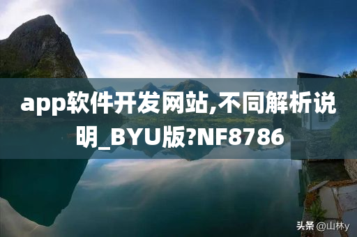 app软件开发网站,不同解析说明_BYU版?NF8786