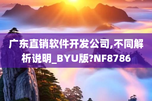 广东直销软件开发公司,不同解析说明_BYU版?NF8786