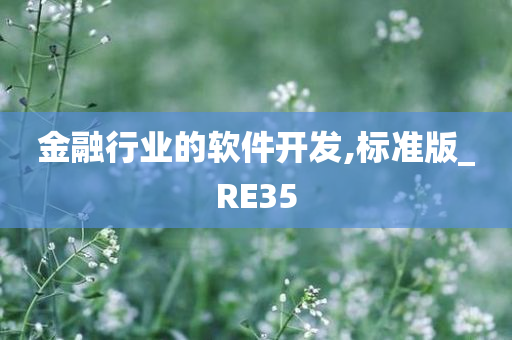 金融行业的软件开发,标准版_RE35