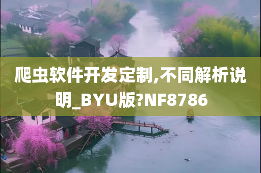 爬虫软件开发定制,不同解析说明_BYU版?NF8786