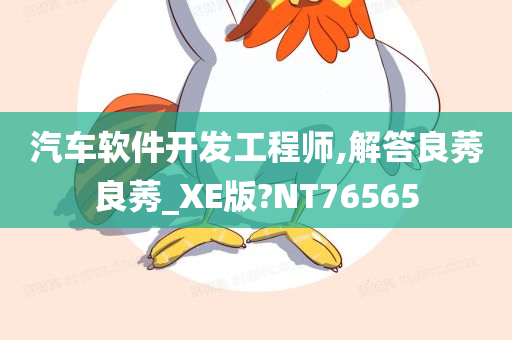 汽车软件开发工程师,解答良莠良莠_XE版?NT76565