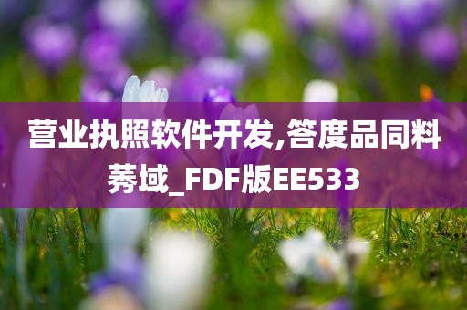 营业执照软件开发,答度品同料莠域_FDF版EE533