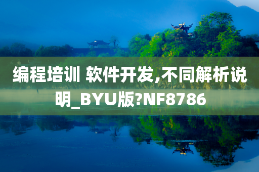 编程培训 软件开发,不同解析说明_BYU版?NF8786