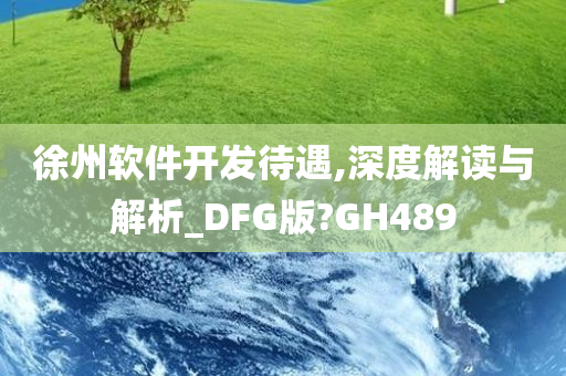 徐州软件开发待遇,深度解读与解析_DFG版?GH489