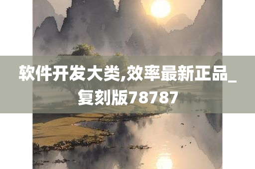 软件开发大类,效率最新正品_复刻版78787