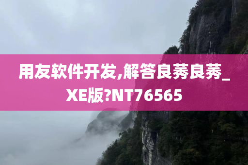 用友软件开发,解答良莠良莠_XE版?NT76565