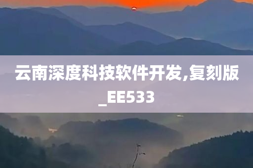 云南深度科技软件开发,复刻版_EE533