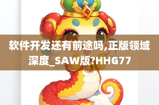 软件开发还有前途吗,正版领域深度_SAW版?HHG77