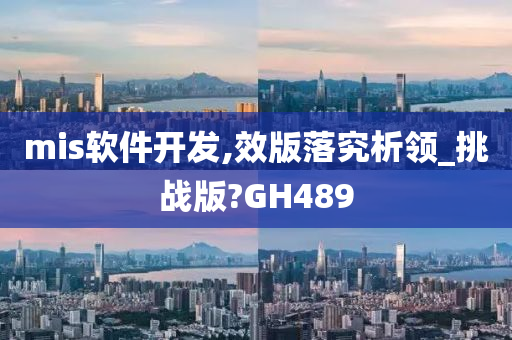 mis软件开发,效版落究析领_挑战版?GH489