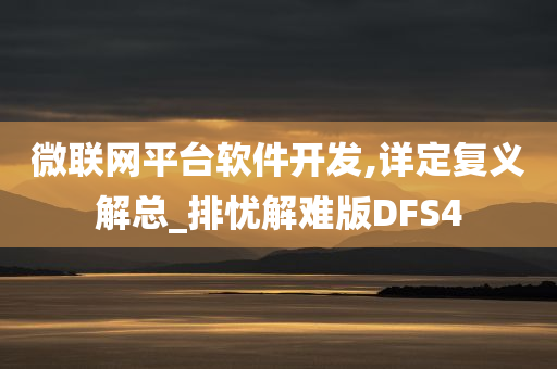 微联网平台软件开发,详定复义解总_排忧解难版DFS4