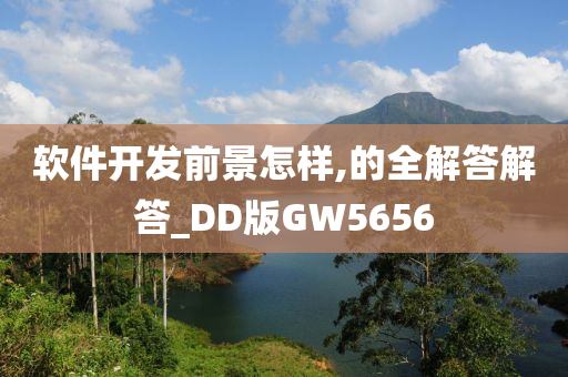 软件开发前景怎样,的全解答解答_DD版GW5656