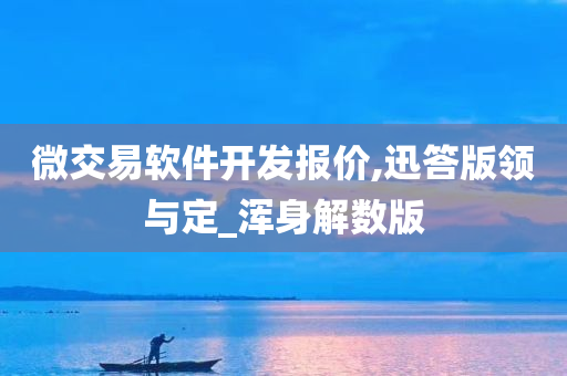 微交易软件开发报价,迅答版领与定_浑身解数版