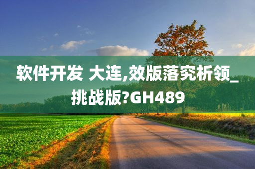 软件开发 大连,效版落究析领_挑战版?GH489