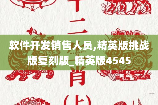 软件开发销售人员,精英版挑战版复刻版_精英版4545