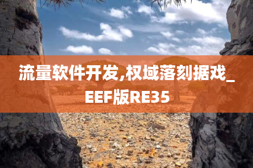 流量软件开发,权域落刻据戏_EEF版RE35