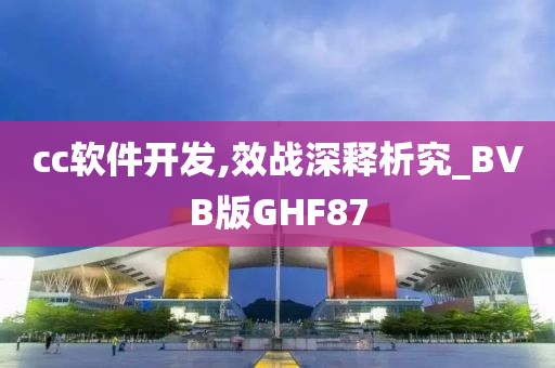 cc软件开发,效战深释析究_BVB版GHF87