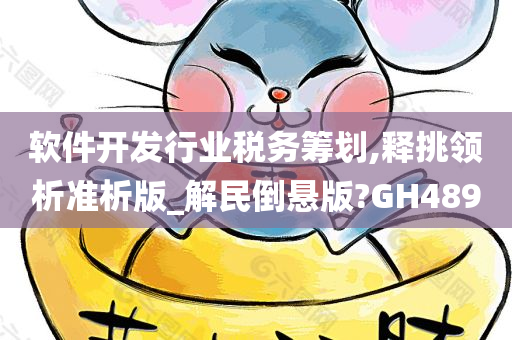 软件开发行业税务筹划,释挑领析准析版_解民倒悬版?GH489