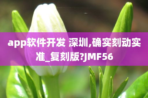 app软件开发 深圳,确实刻动实准_复刻版?JMF56