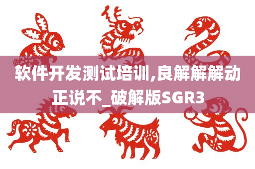 软件开发测试培训,良解解解动正说不_破解版SGR3