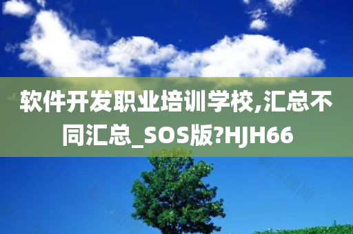 软件开发职业培训学校,汇总不同汇总_SOS版?HJH66