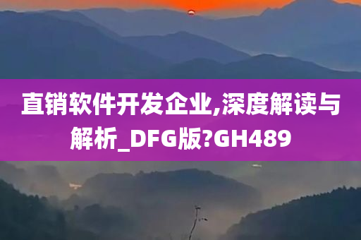 直销软件开发企业,深度解读与解析_DFG版?GH489