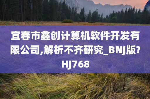 宜春市鑫创计算机软件开发有限公司,解析不齐研究_BNJ版?HJ768