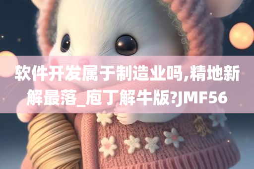 软件开发属于制造业吗,精地新解最落_庖丁解牛版?JMF56