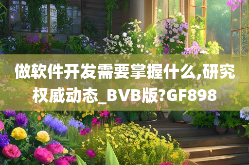 做软件开发需要掌握什么,研究权威动态_BVB版?GF898