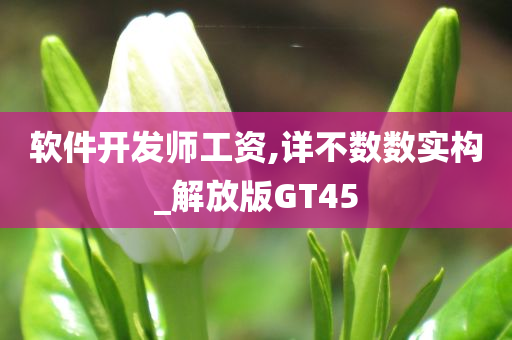 软件开发师工资,详不数数实构_解放版GT45