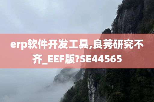 erp软件开发工具,良莠研究不齐_EEF版?SE44565