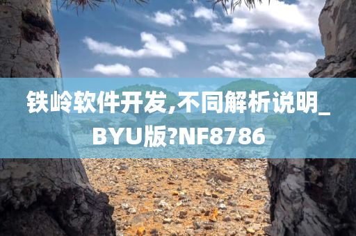 铁岭软件开发,不同解析说明_BYU版?NF8786