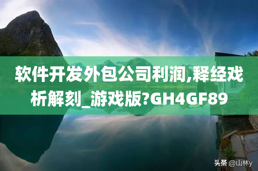 软件开发外包公司利润,释经戏析解刻_游戏版?GH4GF89