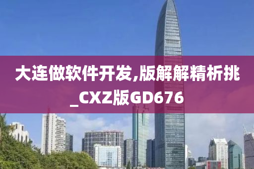 大连做软件开发,版解解精析挑_CXZ版GD676